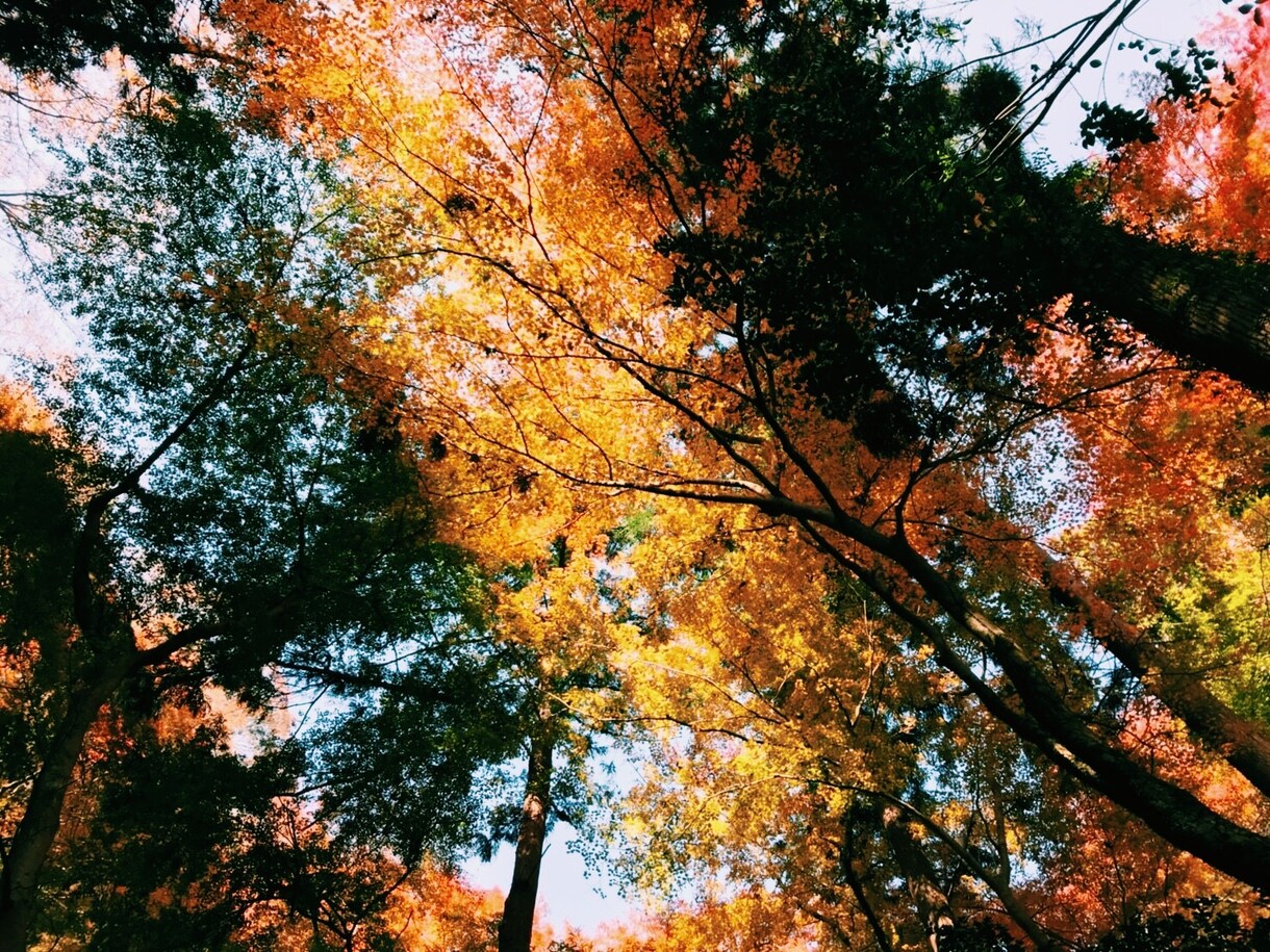 暇つぶしお相手します どこか空虚で退屈で暇だなと感じている同士よ、集え！ イメージ3