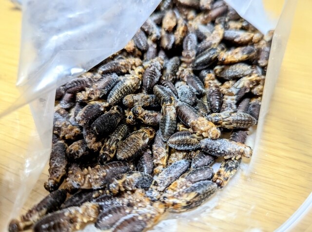体に悪いの物を避ける食生活の改善は簡単にできます 25年のダイエット、健康の知識と経験でサポート イメージ1