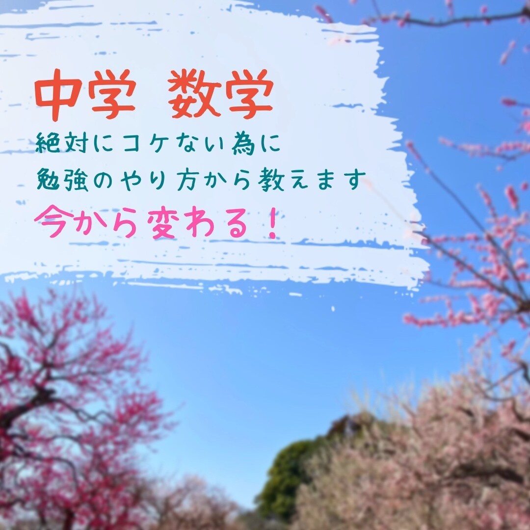 中学１〜３年数学の講習を行います 苦手を克服し、分かってできるまで教えます！ イメージ1