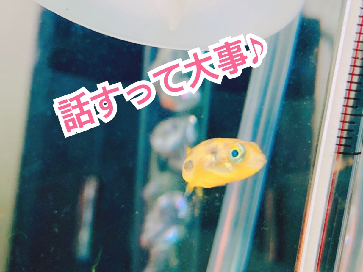 ちょっと話聞いてー！お聞きします とりあえず誰かに話を聞いて欲しいと思っている方の力になりたい イメージ1