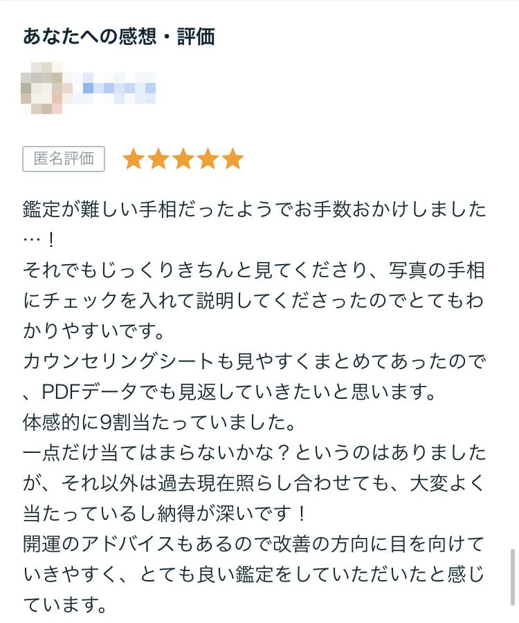 2名様限定価格 | あなたの恋愛の運命を読みます 手相を鑑定し、あなた専用の開運カウンセリングシート作製 イメージ2