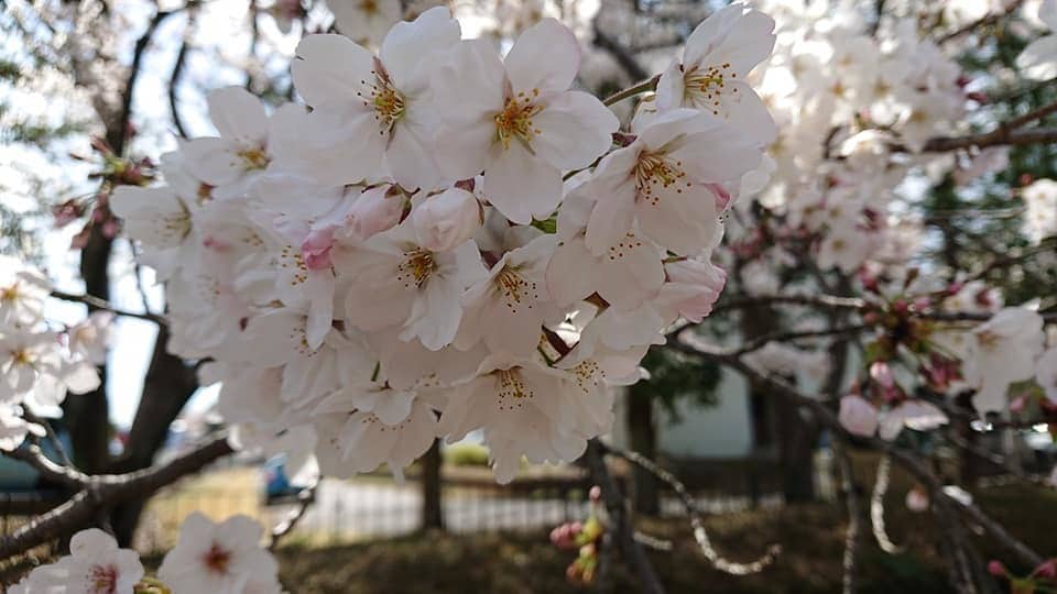 お悩みにワンポイントアドバイス致します 重い気持ちが晴れるお手伝いをさせてくださいね♪ イメージ4
