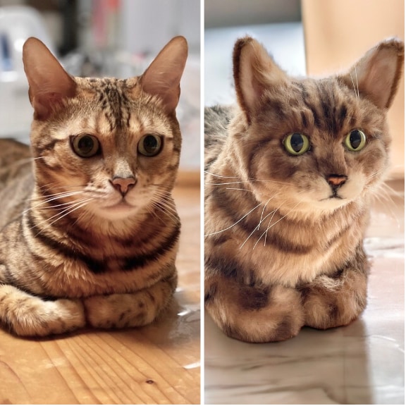 あなたのペットそっくりなぬいぐるみをお作りします 写真から再現するあなただけのオリジナルぬいぐるみオーダー イメージ5