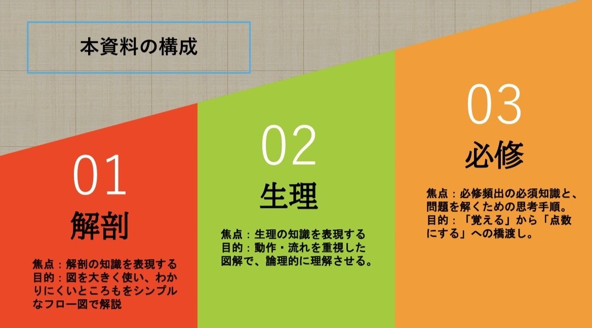 解剖生理でつまづかない！循環器の基礎を解説します 現役看護学生が教える解剖生理の最強の学び方を伝授します イメージ3