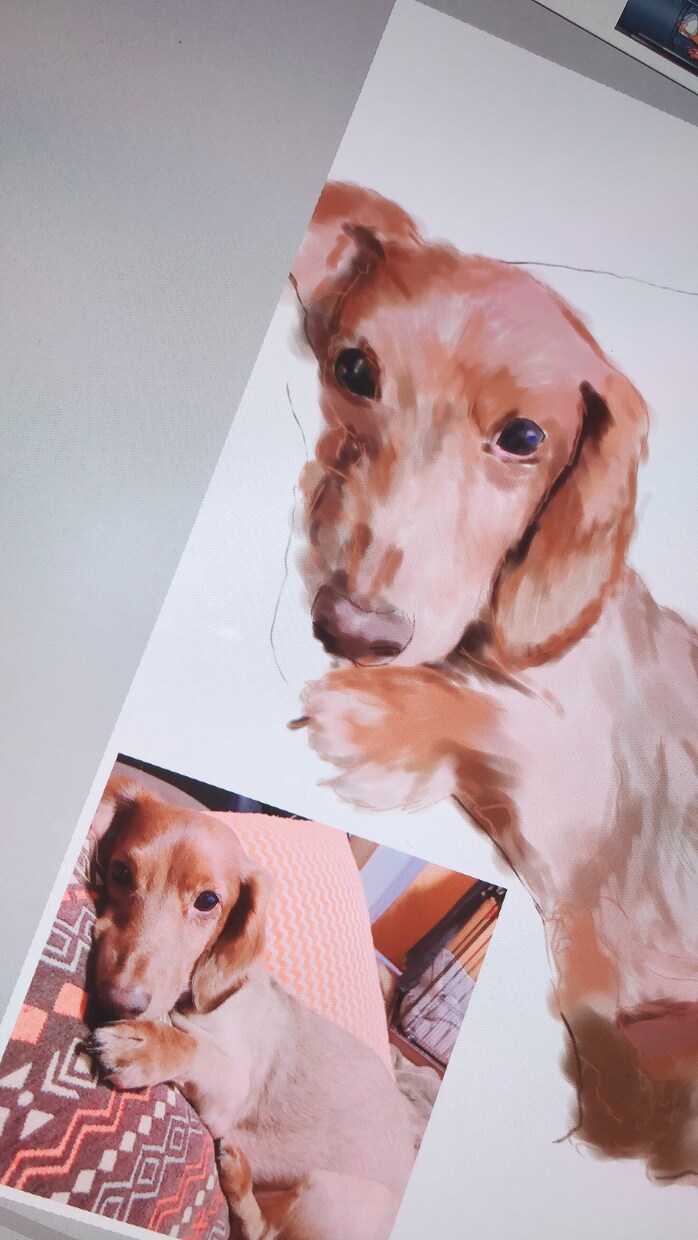 ペットイラスト描きます あなたの大切な家族を、思いを込めた1枚に。 イメージ3