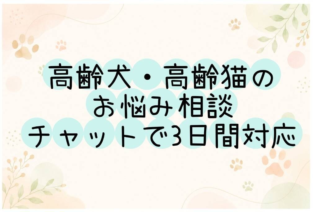 シニア犬・シニア猫の介護相談承ります 高齢犬・高齢猫のお世話や介護相談承ります イメージ1