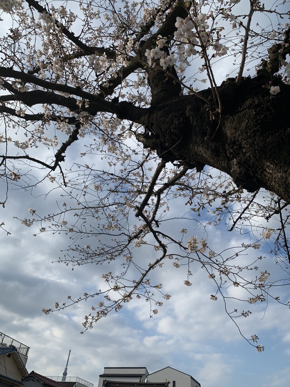 復縁について占います 復縁が叶うのかどうか知りたい方にぴったりな内容です イメージ1