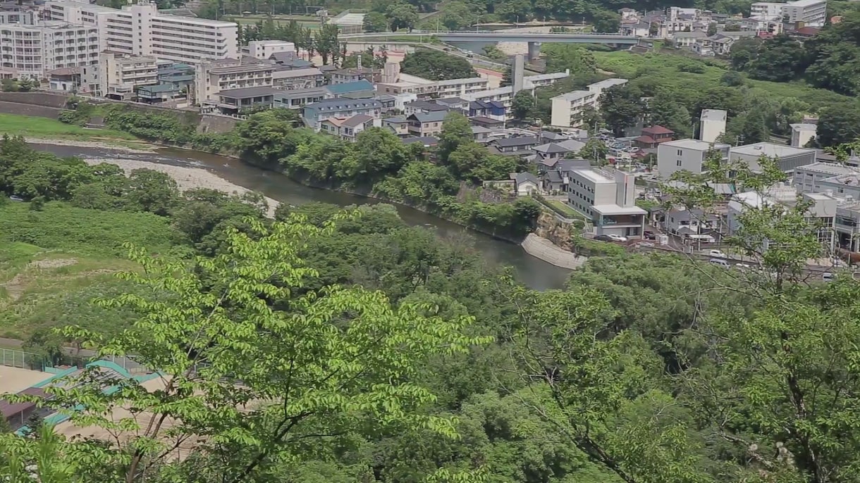 仙台東北エリア/業務用カメラで映像撮影いたします プロ用シネマカメラで高画質映像をお届けします イメージ1