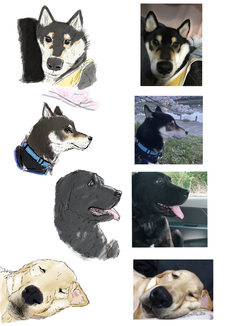 人、ペットなどのイラストを描きます 思い描くあなたのイメージに寄り添います イメージ4