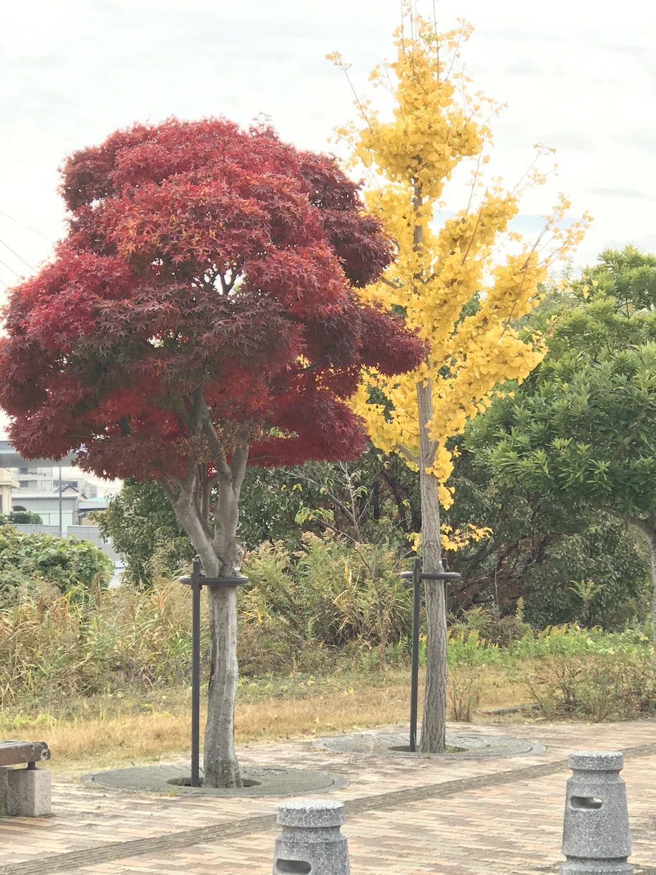 ヒーリングをさせていただきます 癒しのエネルギーをお送りします イメージ5