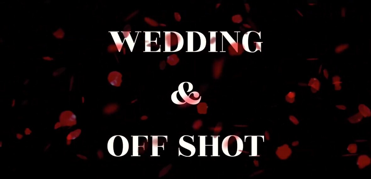 結婚式のアフタームービー作成します 出席者が楽しんだ様子を一本の動画にまとめます。 イメージ2
