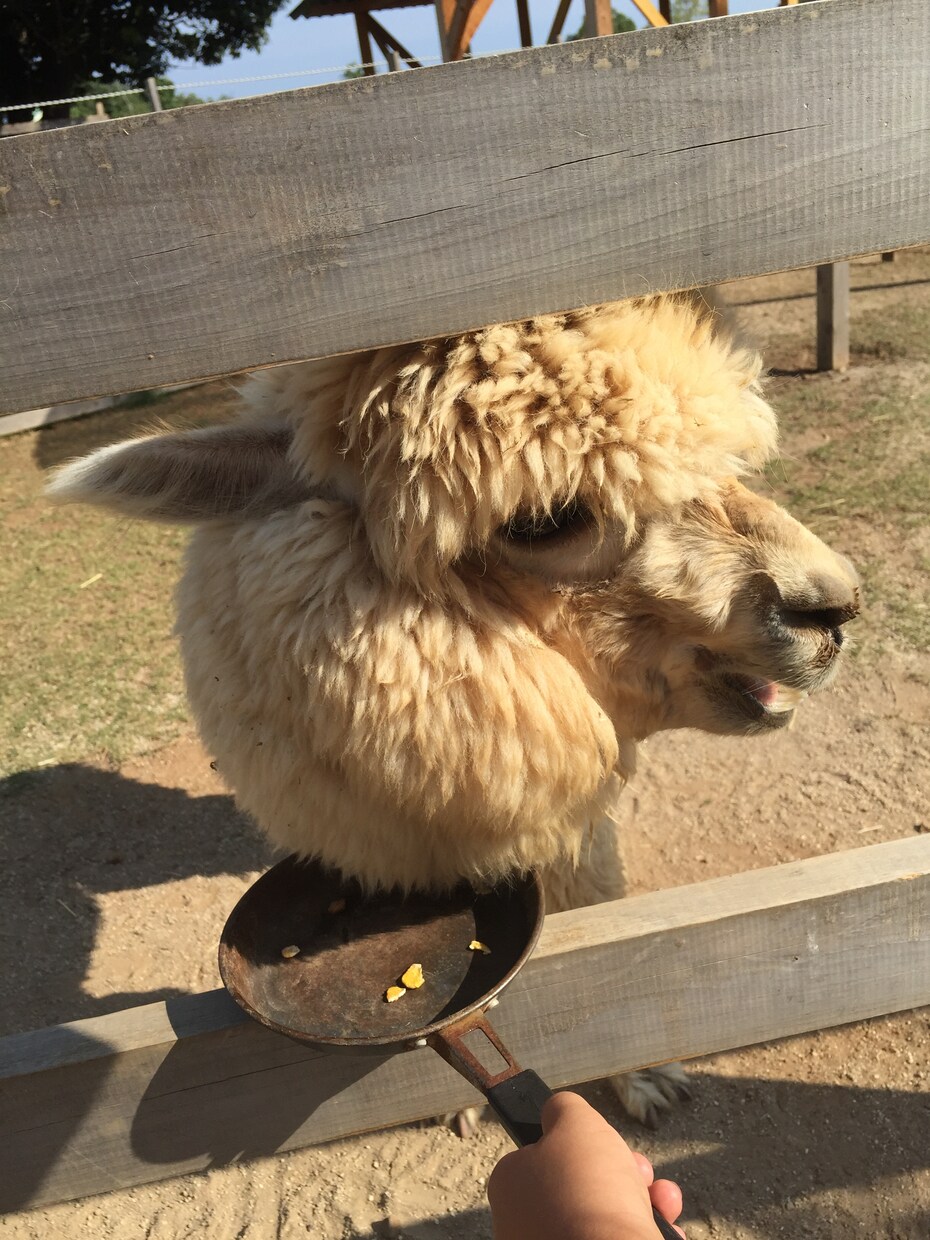 あなたのお話なんでも聞きます。 イメージ1