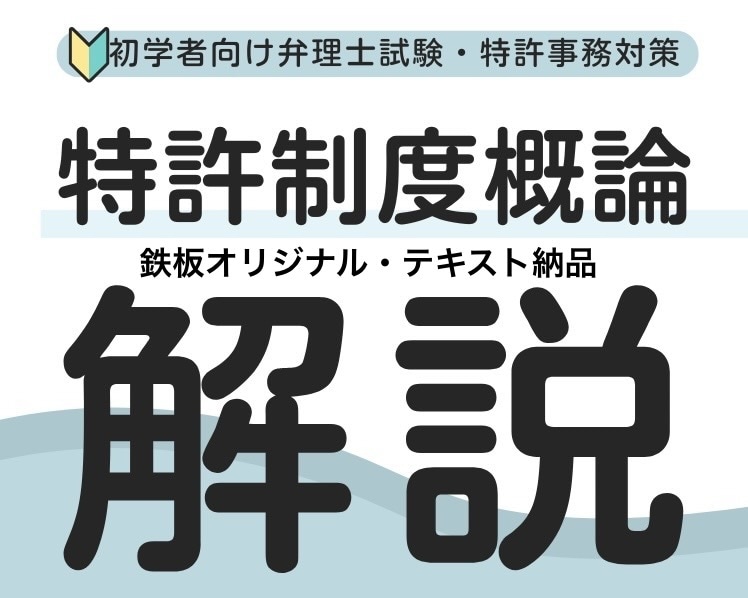 初学者向特許制度概論を実務経験を活かして解説します 知財×経営戦略 将来事業構想•新事業創出•特許法導入ガイド イメージ1