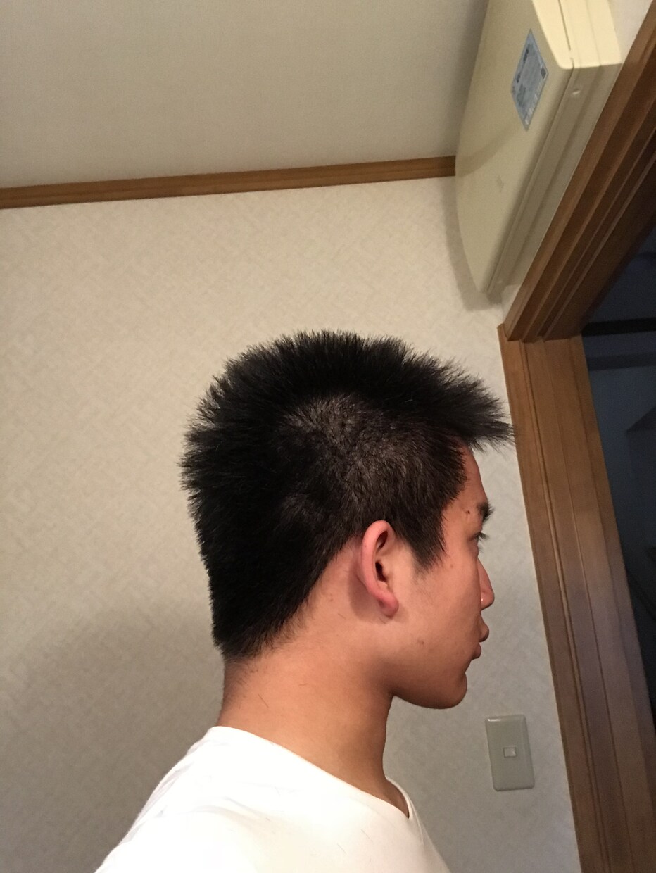 応援団直伝の、人を応援するための振り付けを教えます 関西の大学の、応援団に所属しています。自信を持ちましょう！！ イメージ2