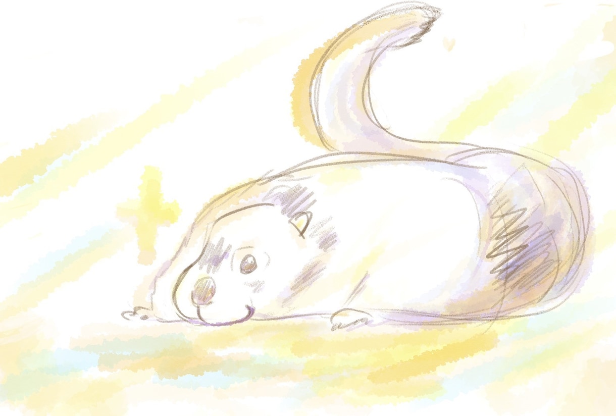 愛しいペットちゃんのイラスト描きます 優しく温かいタッチで(*´ー｀*) イメージ1