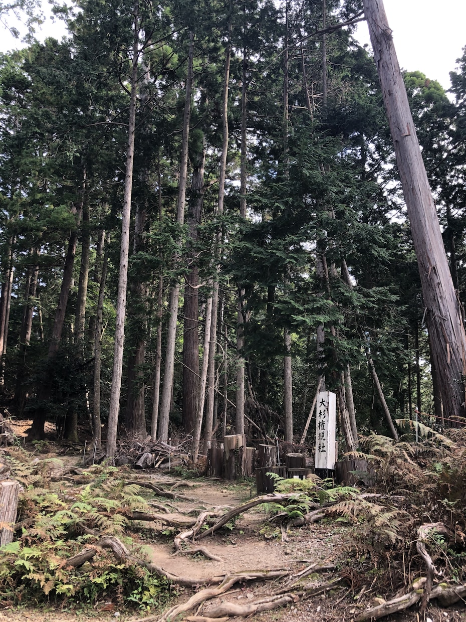 遠隔靈氣（レイキ）で癒しをお届けします ふんわり暖かく優しいヒーリングでリラックス イメージ4