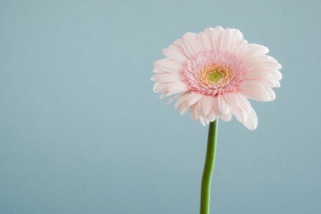 いじめ、パワハラから生き延びた私がお悩みを聞きます いじめやパワハラの辛さを１００％味方で全力で受けとめ癒します イメージ1
