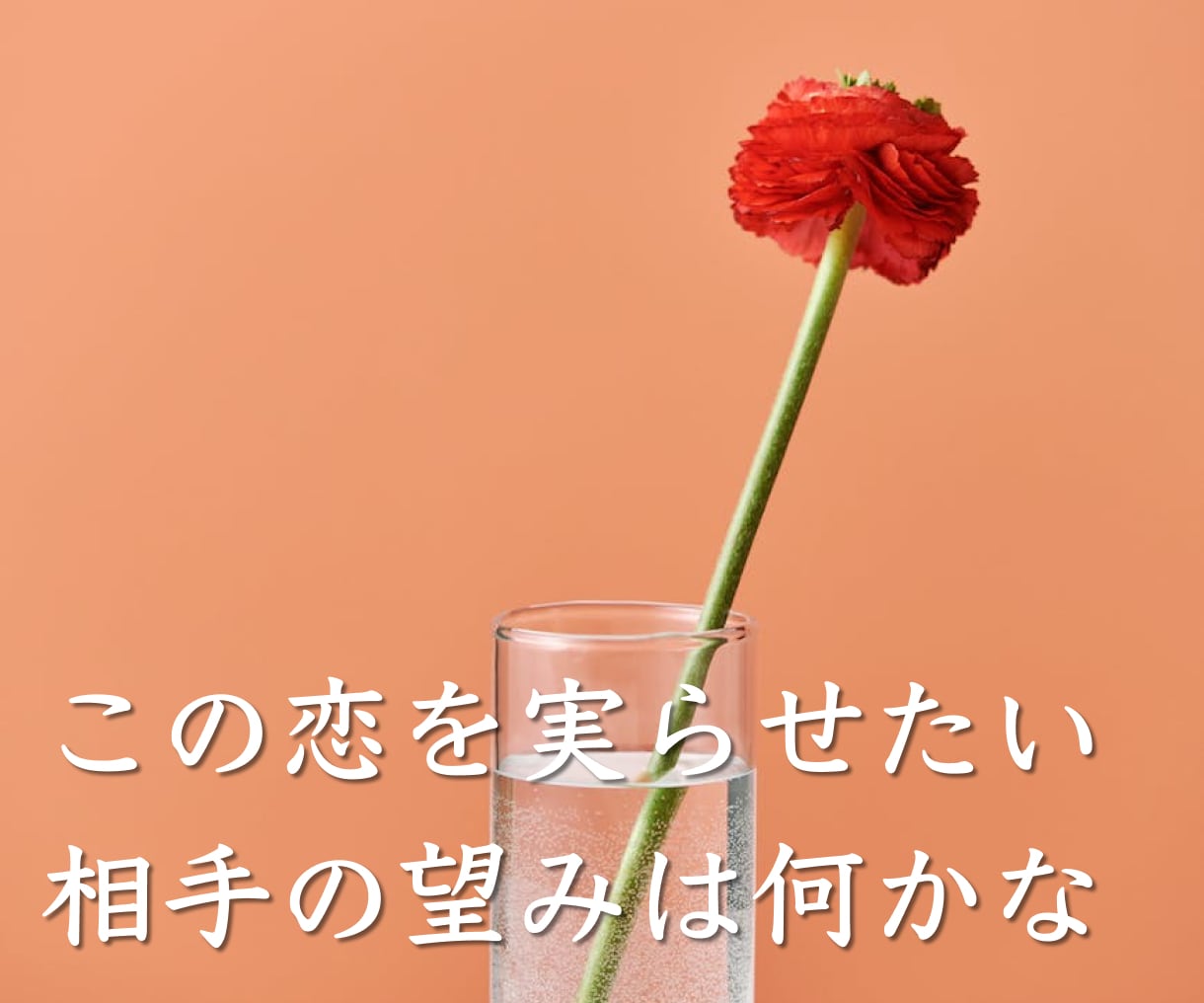 恋愛・仕事・人生⭐️お悩みを深く読み解きます 人に言えない深いお悩み伺います。明るい未来へお導きします。 イメージ7