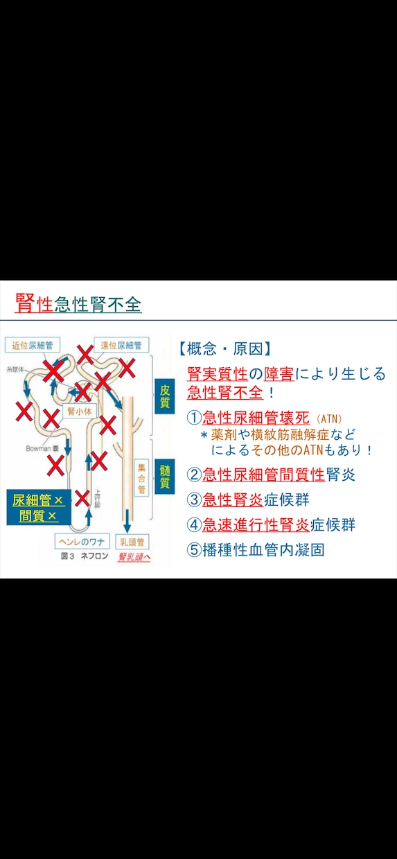医学系スライド作成・レポート作成の指導をします レポート課題やまとめスライドの作成をサポートします！ イメージ2