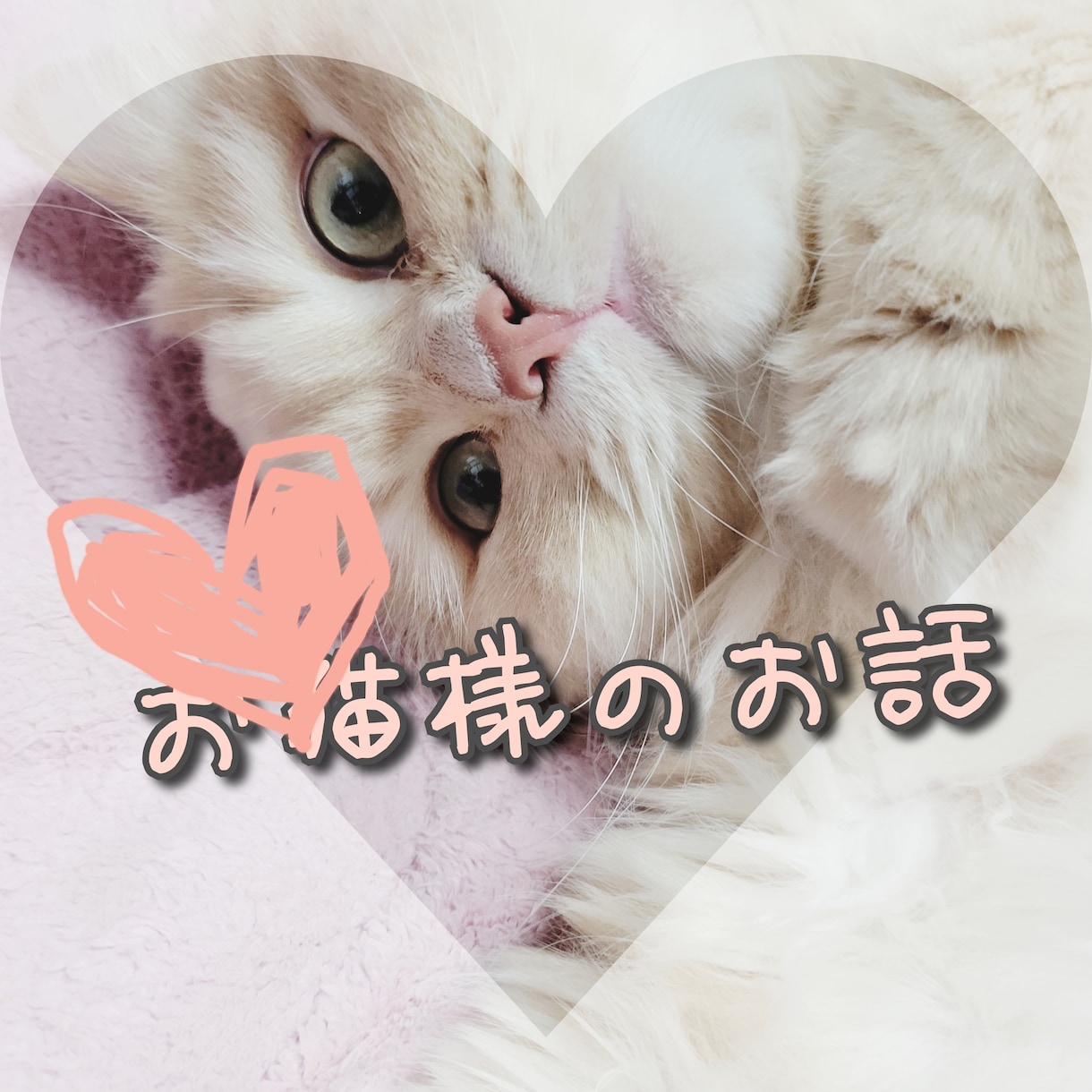 猫様のお話・愛猫さんのお悩み相談致します 猫に関しては詳しいです。愛猫さんのお悩み相談や雑談もOKです イメージ1