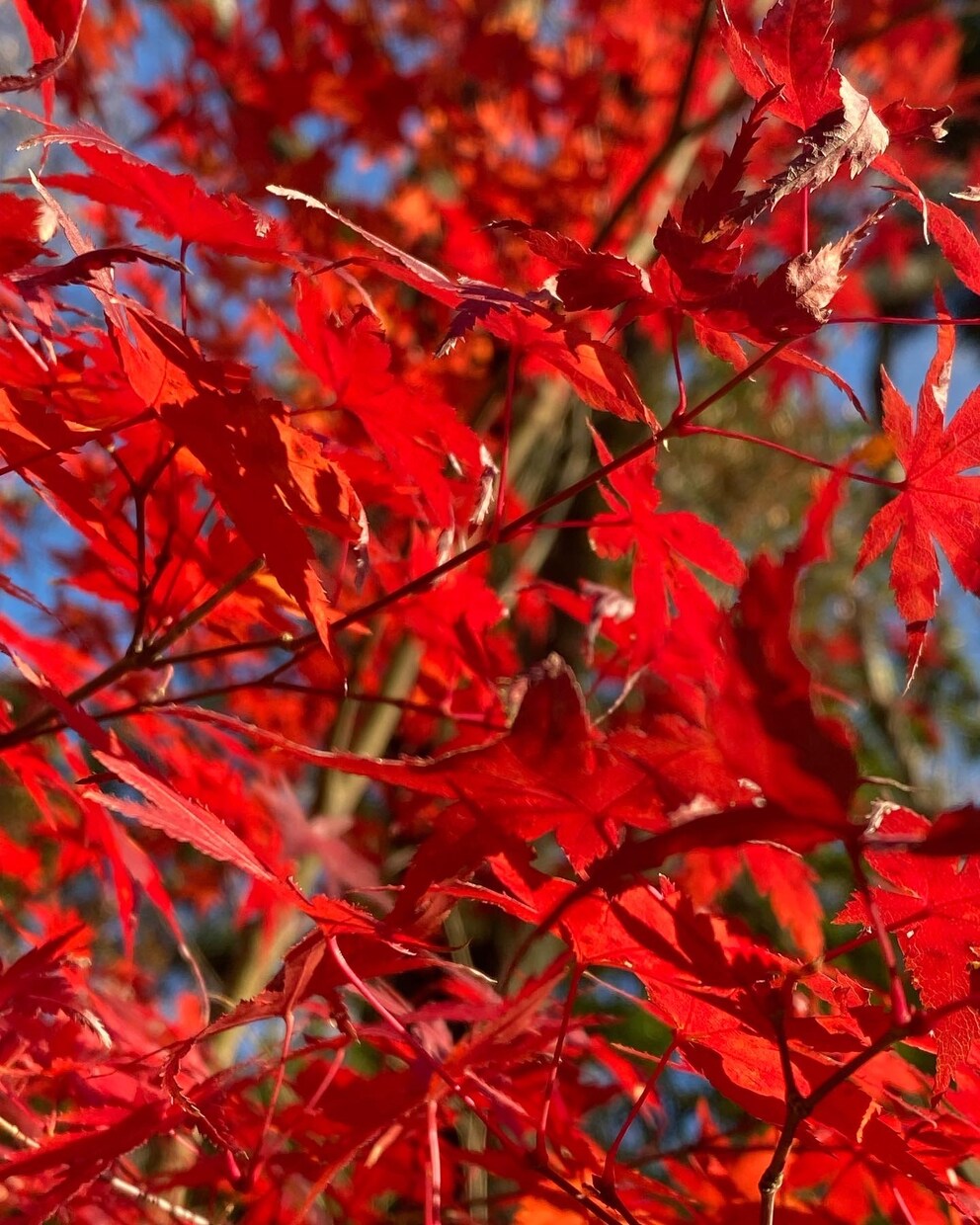 自然のお写真を提供します ふと立ち止まって見えた景色を撮っています イメージ1