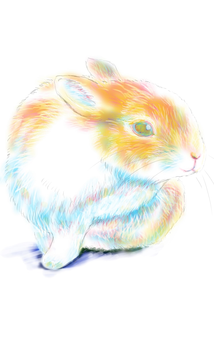 ペット・動物を三原色カラーで描きます 三原色ならではの、素朴で鮮やかなふわっとした発色です。 イメージ2
