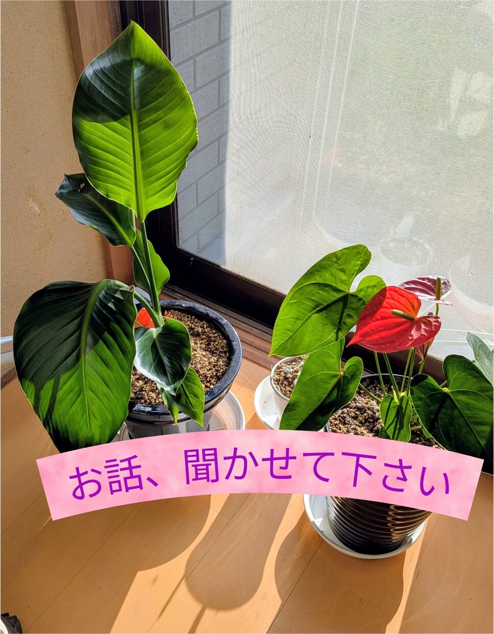 丁寧にあなた様のお話をお聞きします お気持ちを軽くしていきましょう イメージ1