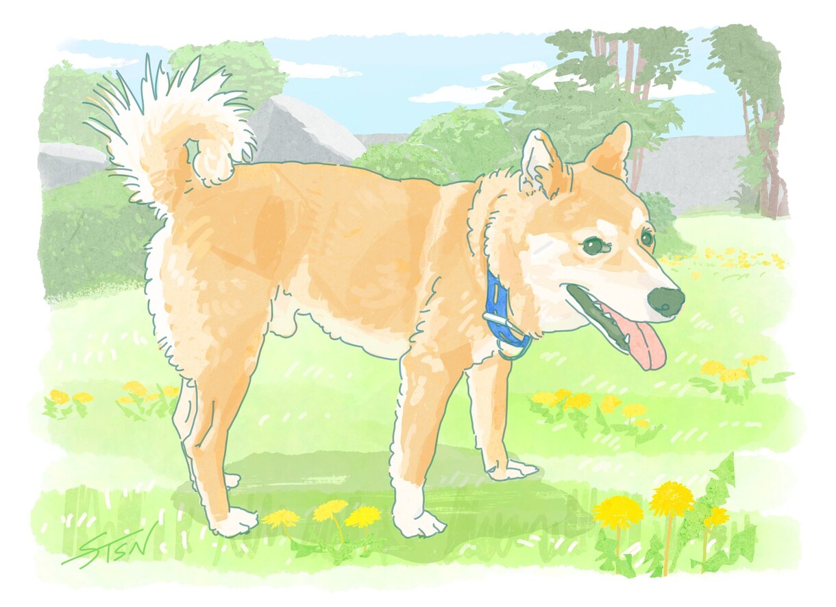 可愛いペットの似顔絵を制作します ペットとの出会いが人生を変えた、思い出を作りたい、そんな方へ イメージ4