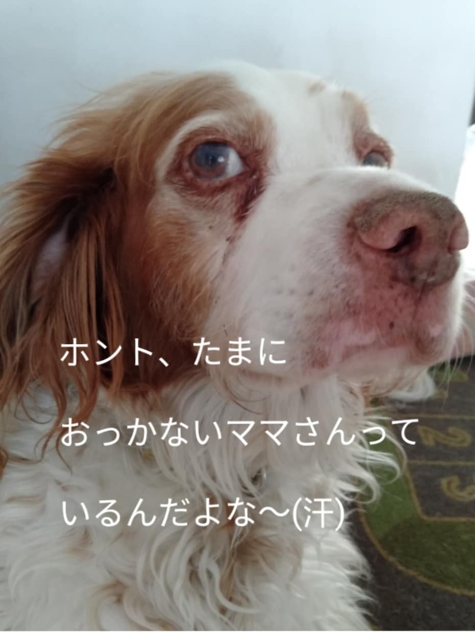 いつまで続くの？　辛い人間関係のお悩みに答えます 毎日顔を合わせるからこそ、本当に何とかしたいお悩みですよね！ イメージ3