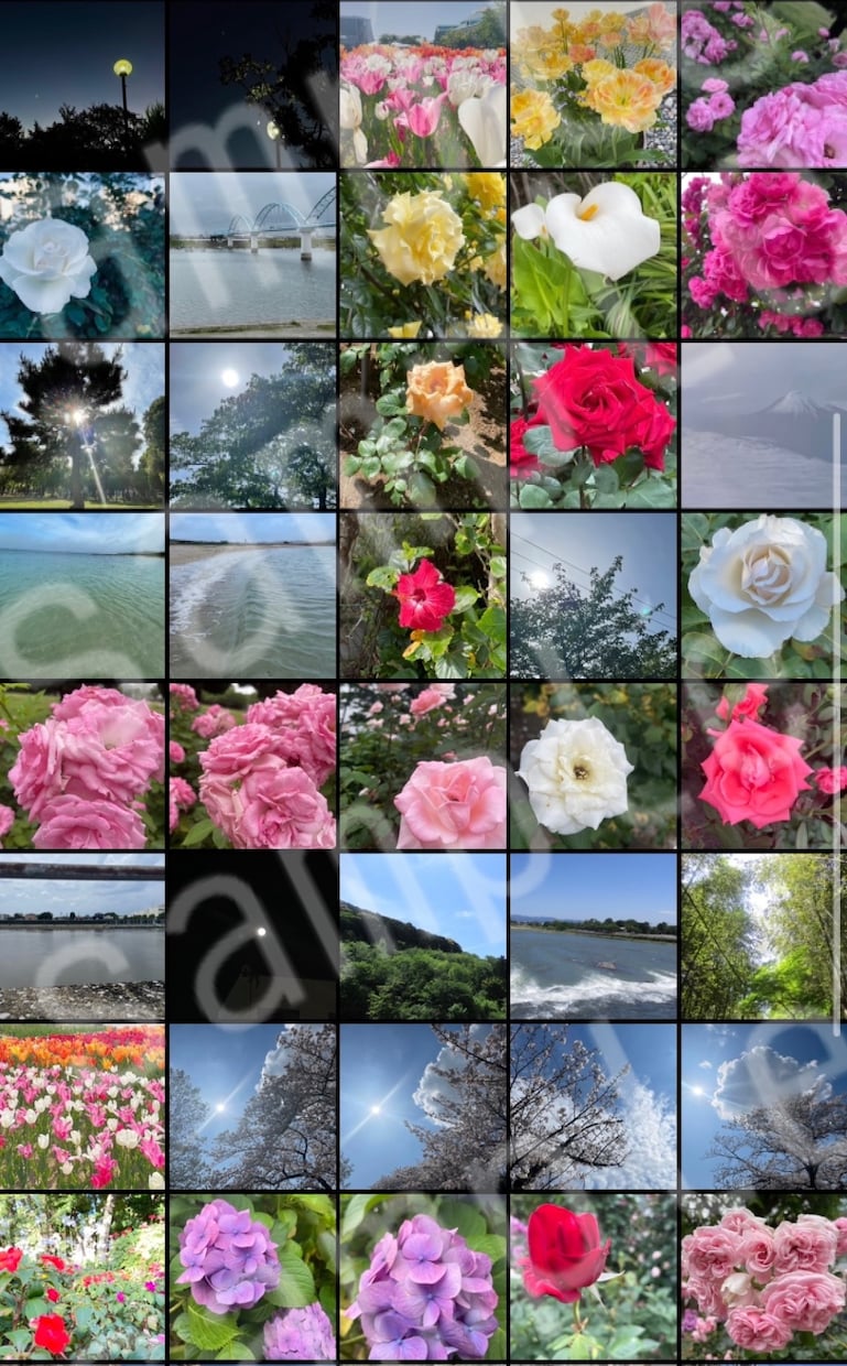 写真を計100枚著作権フリーでご提供します 季節場所様々な写真を用意しました！ イメージ2