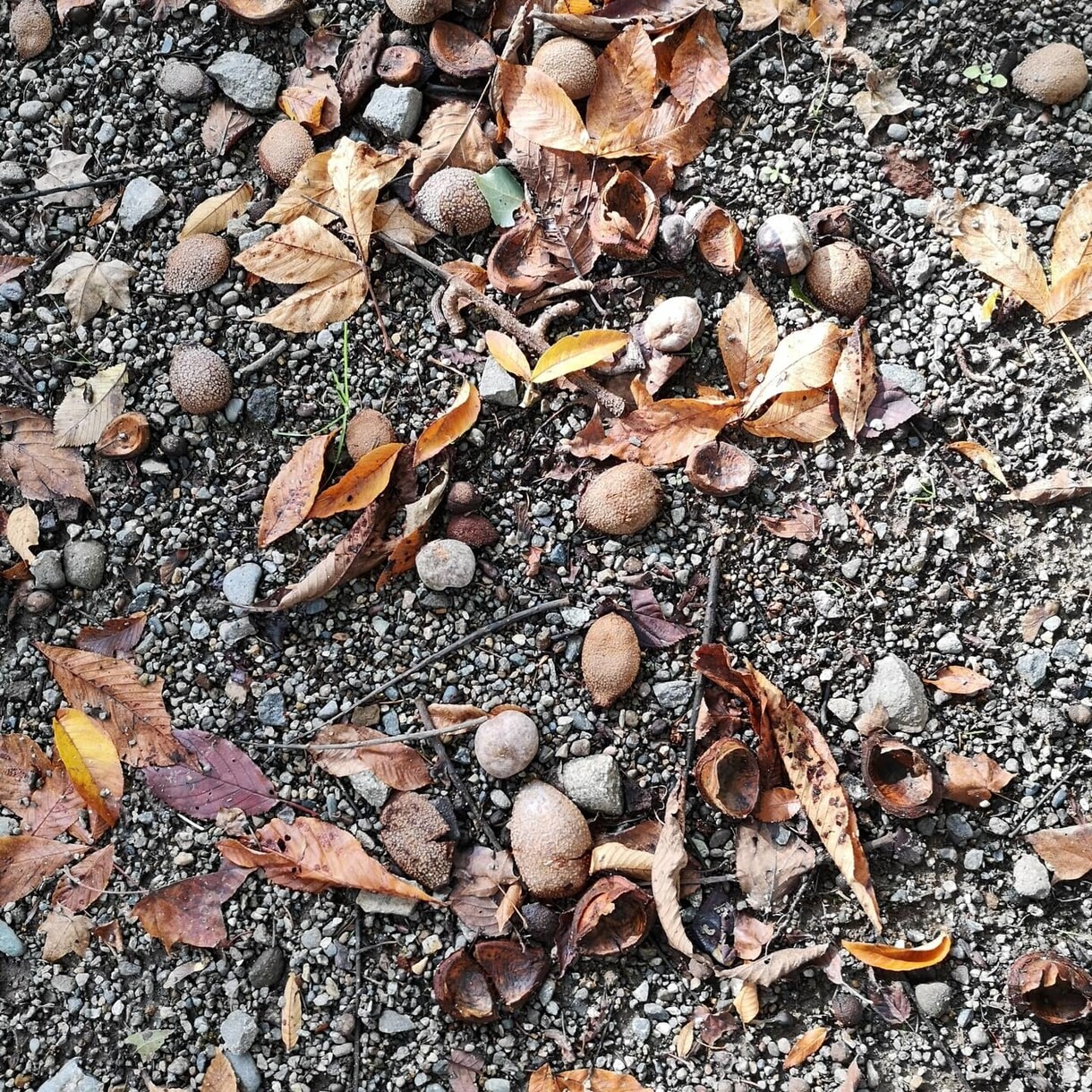 あなたの愚痴、悩みを聞きます 心が軽くなり１日１日を楽しくなるようお手伝いをします。 イメージ2