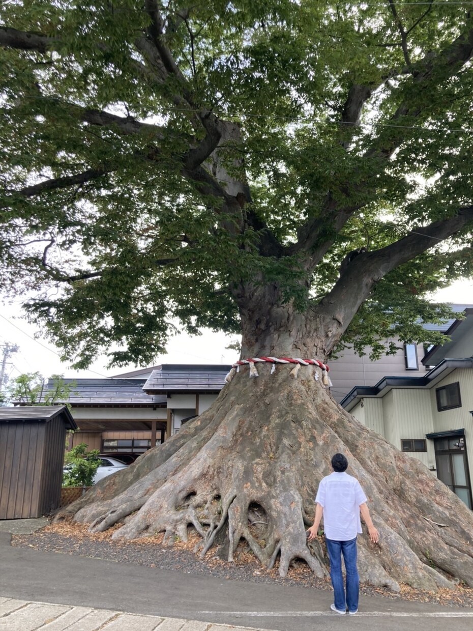 生年月日よりあなたの大きな流れをお知らせます 運勢を知らながら、楽しい毎日を。 イメージ2