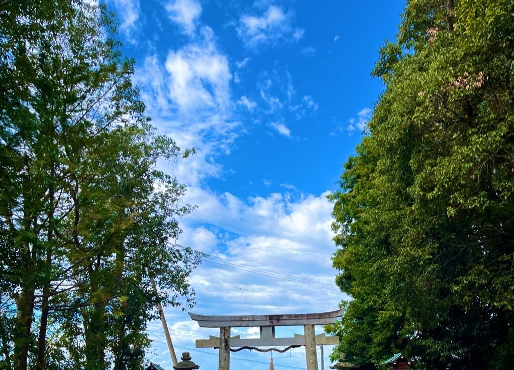 気になる日を占います どんな運勢なのか、あなただけの鑑定内容です イメージ1