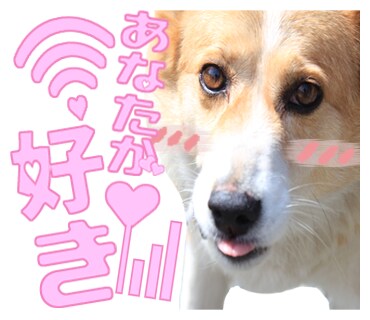 あなたの大切な写真でLINEスタンプ作ります 家族・友人・仲間・ペット・ご自身、何でもござれ!! イメージ4