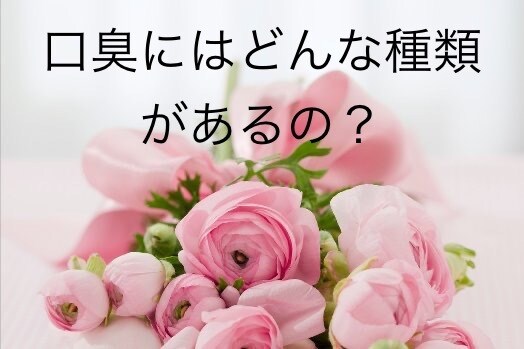 女性歯科医師がカウンセリング致します 口臭専門クリニックの女性院長に口臭のお悩みを相談しませんか イメージ2