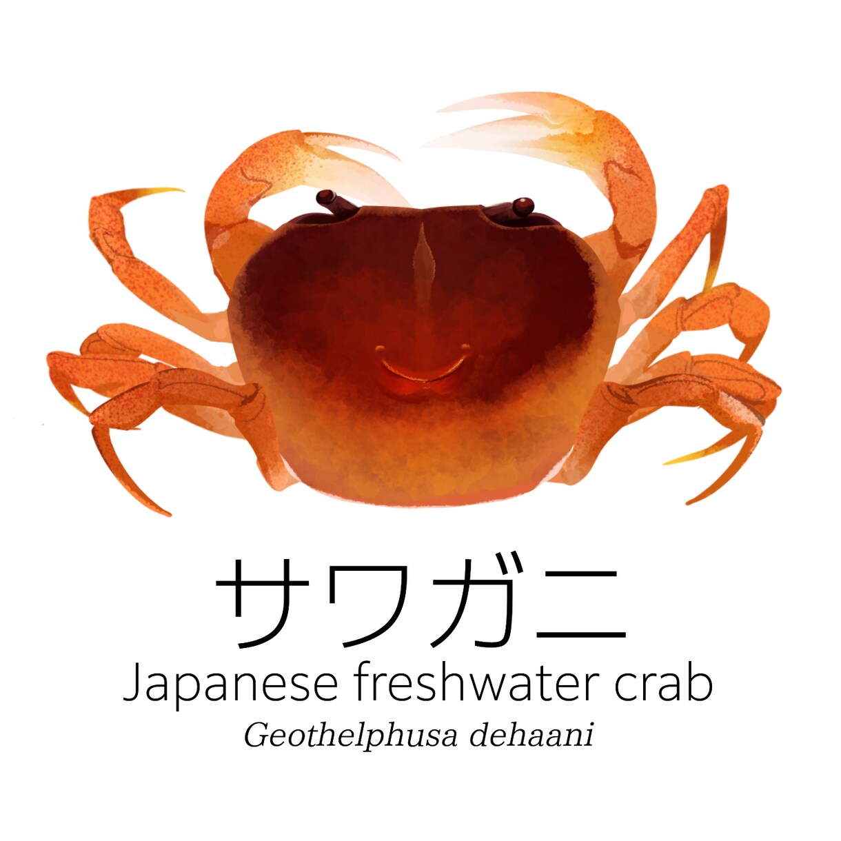 生き物特化のイラスト制作します ライブ外納品をご希望の方はこちら！ イメージ9