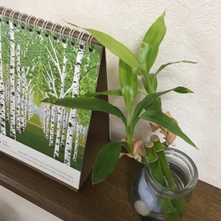 じっくりお悩み相談にのります 些細なことでも相談したいと言う方にオススメです＾＾ イメージ1