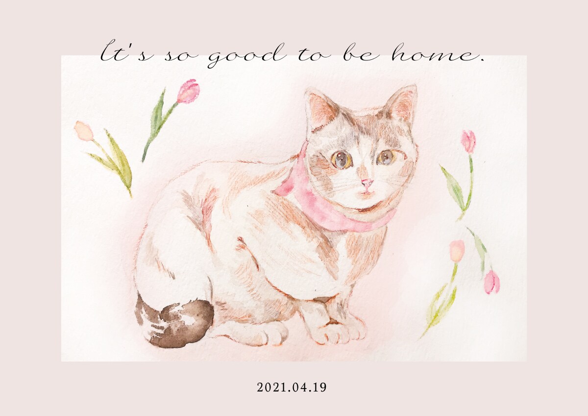 ペット・こどもイラスト✳︎水彩で写真を元に描きます カレンダー、アイコン、スマホ待ち受けなどにもどうぞ！ イメージ3