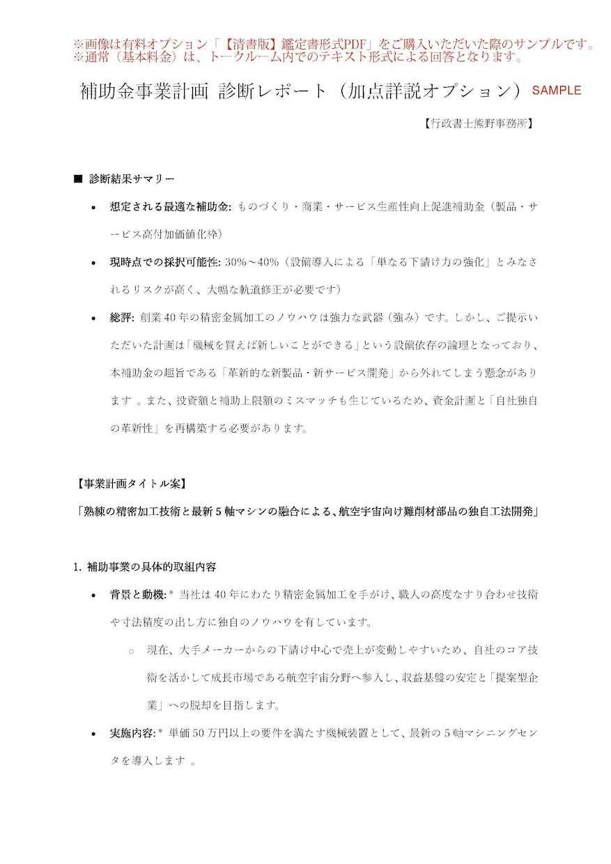 審査官の着眼点で事業計画書の採択率を向上させます プロの法的視点で貴社の事業計画を精密監査 イメージ3