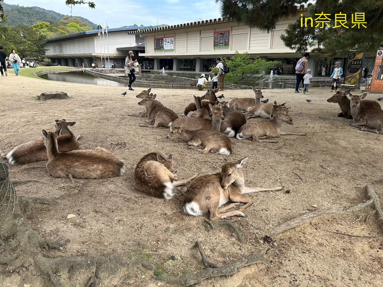 国内・海外問わず！最高の旅行プランを作成します 思い出に残る旅行プランを提案します！ イメージ10