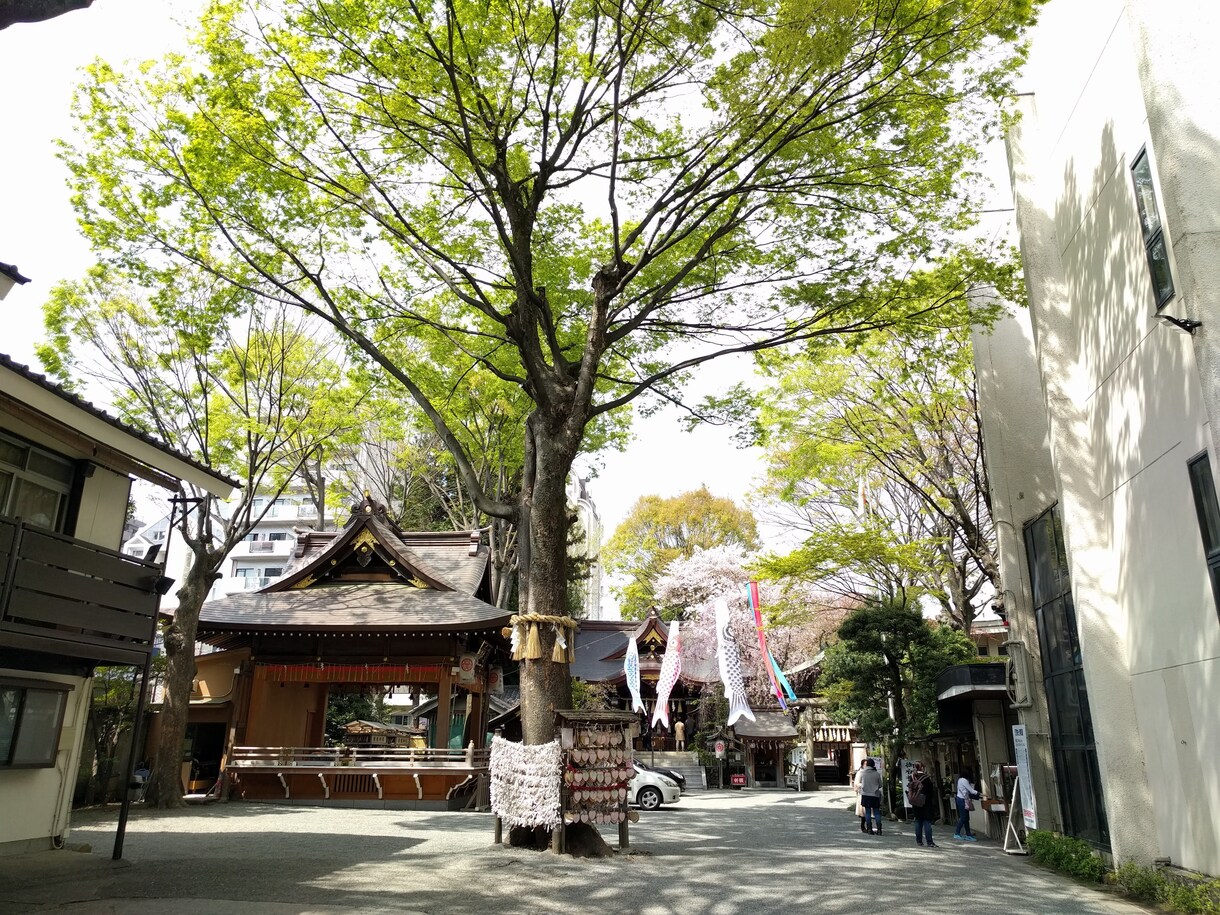 あなたのお話をじっくり聴きます 何でも気軽にお話して下さい。あなたの心に寄り添います。 イメージ3
