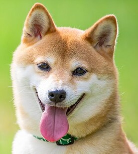 お子様のお名前に不安が有る方の解決を致します お子様のお名前が悪い方の解決方法をご提案致します。 イメージ3