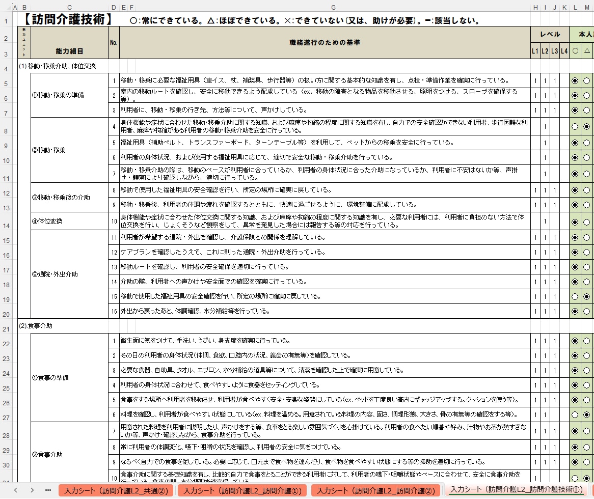 スキル評価シート(訪問介護)のテンプレを販売します 厚生労働省が公開している職業能力評価基準を取り入れています イメージ7