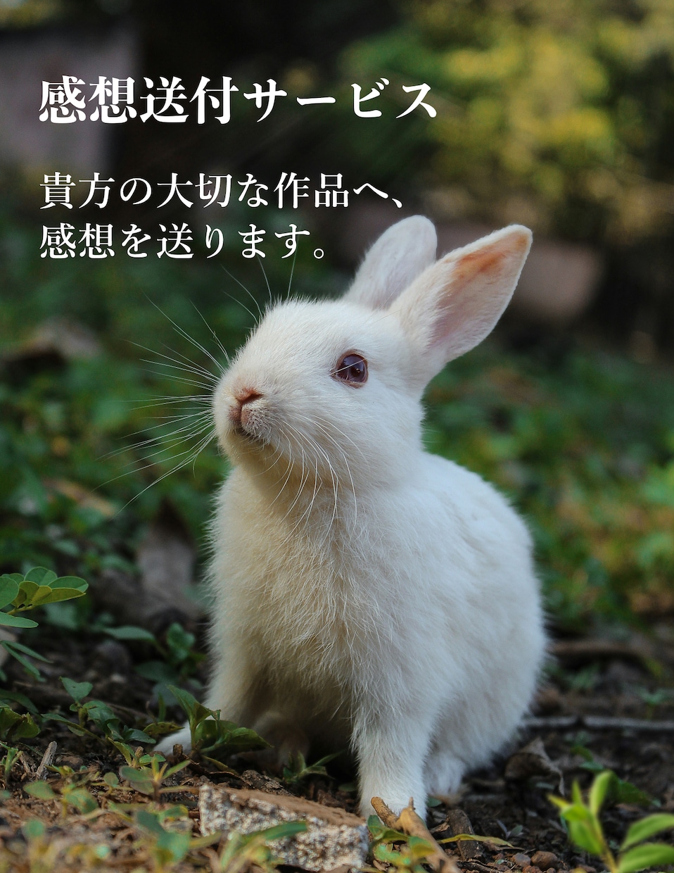 貴方の作品への感想を送ります 心を込めたサービス、選べる感想タイプ イメージ1