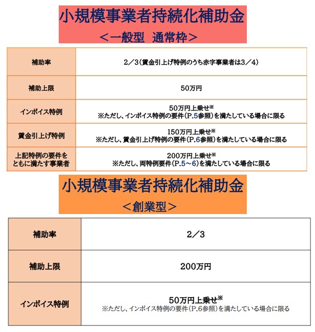 1枠∥小規模事業者持続化補助金の計画書を支援します 【ココナラNo1】短納期・高品質で個人／法人の採択実績多数 イメージ10