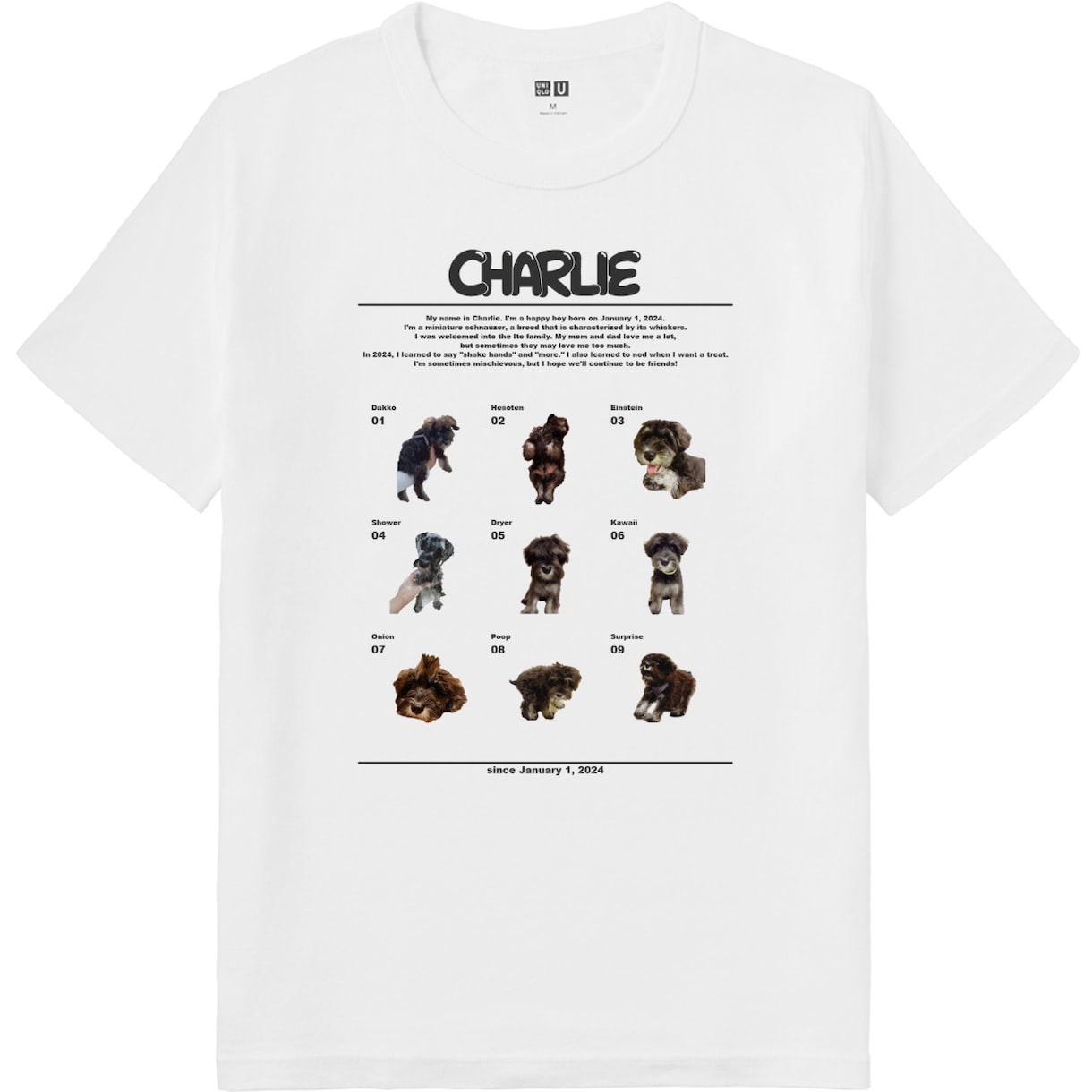 愛犬・猫のオリジナルTシャツをつくります 世界に一つだけのうちの子Tシャツ♪ イメージ1
