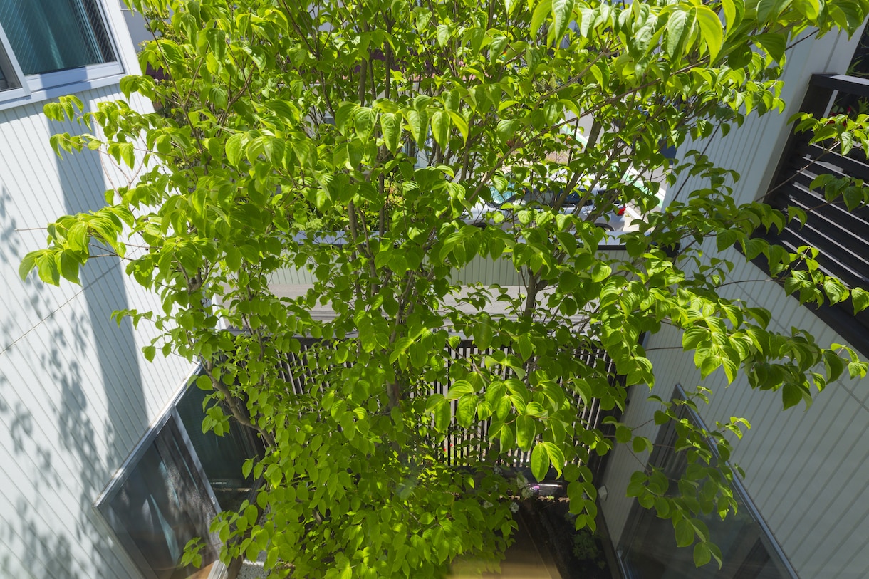 在宅時間＝家族時間！充実する居住空間を提案します ヒアリングを基に充実した家族時間の為の居住空間を提案します！ イメージ4