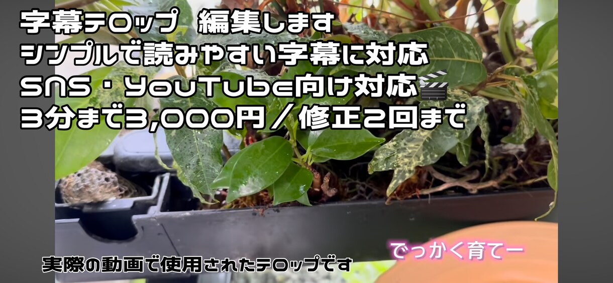 字幕のみ対応します。ご希望にあわせて編集します SNSやYouTube向け字幕、ていねいに編集します イメージ1