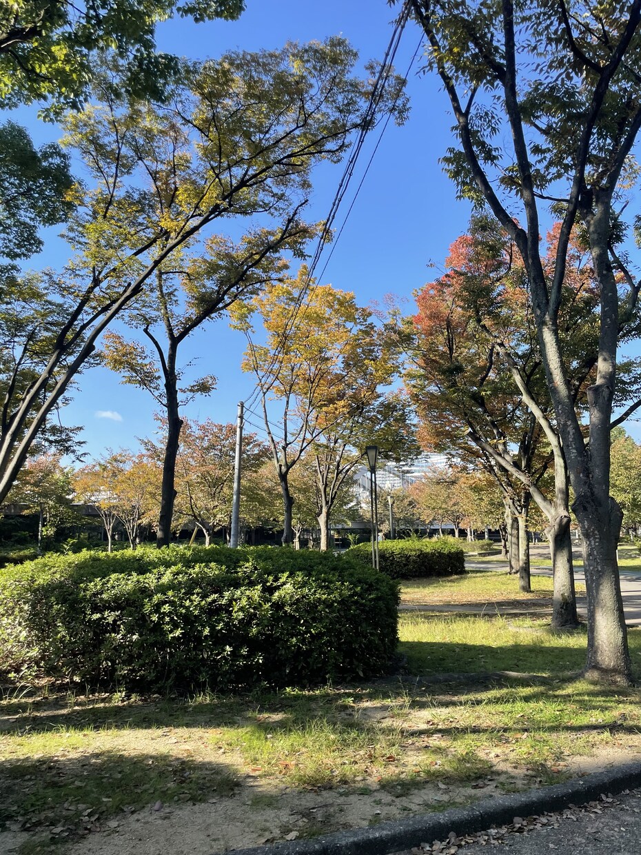 風景、花の画像提供します 風景、花、日常の写真提供します。 イメージ1