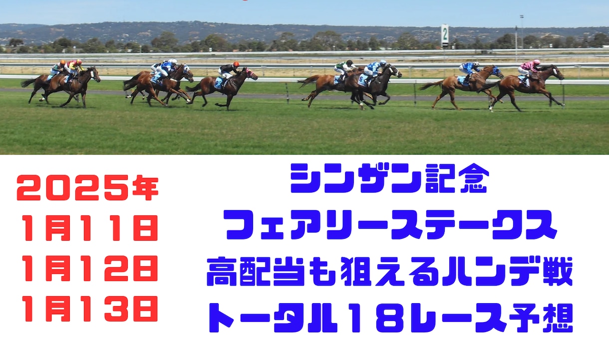 ３日間開催中央競馬❗️全１８レース予想します シンザン記念やフェアリーステークスなど特別戦から重賞レース！ イメージ1